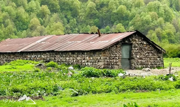 آب و هوای دشت دریاسر