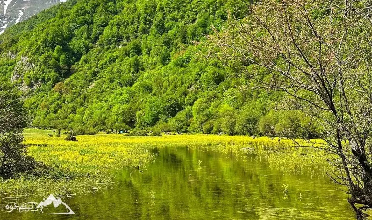 عکس دشت دریاسر