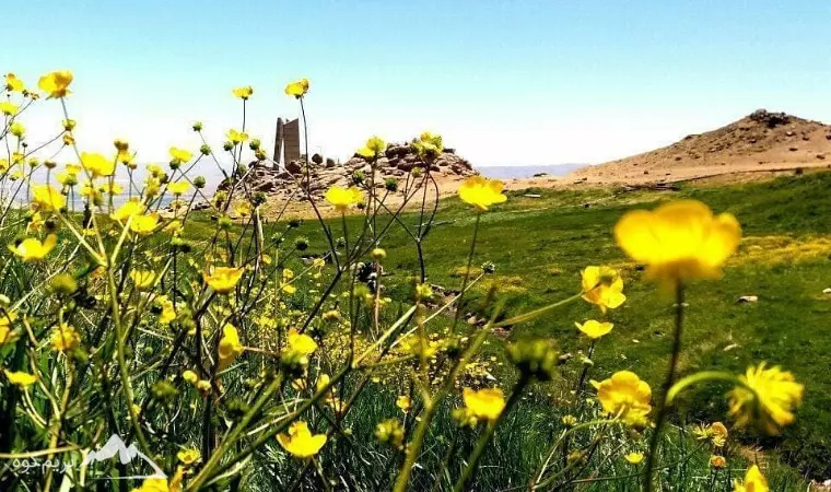 کوه الوند کجاست