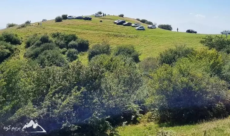 جنگل فندقلو و دشت بابونه اردبیل