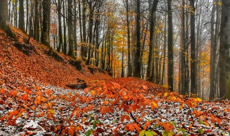 جاذبه های دیدنی اردبیل