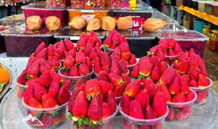 دشت ارژن