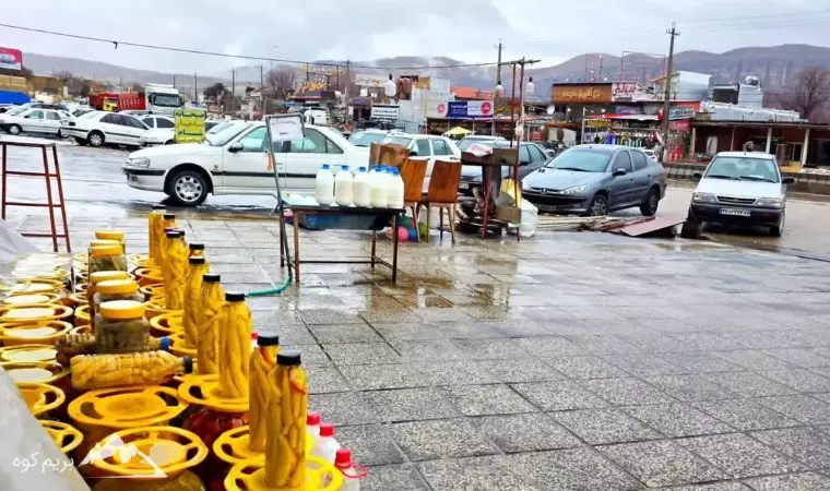 دشت ارژن کجاست