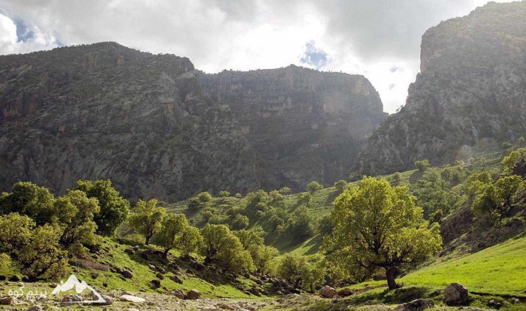 کان صیفی