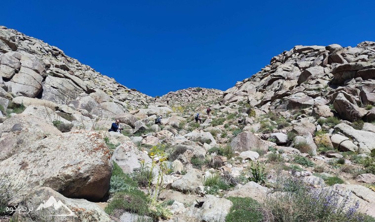 کوه دومیر
