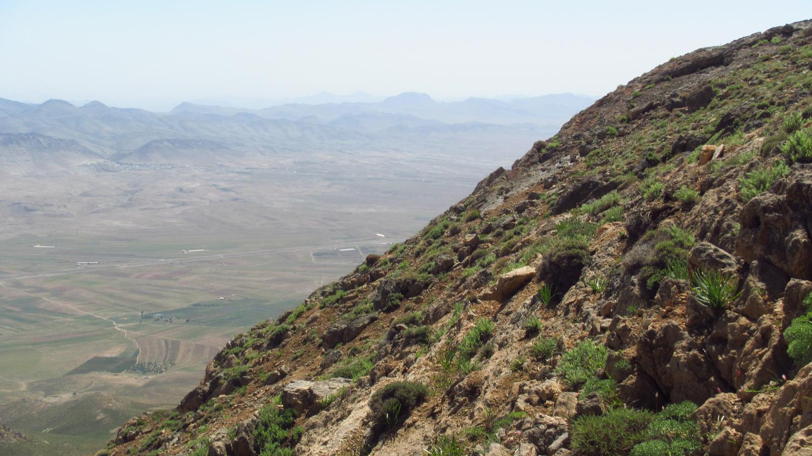 دالانکوه