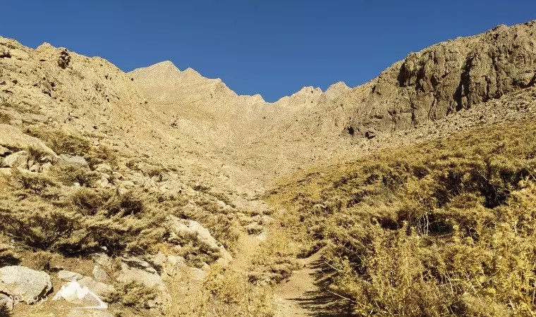 شاهان کوه