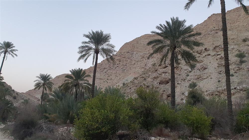 مسیر صعود به بیرمی