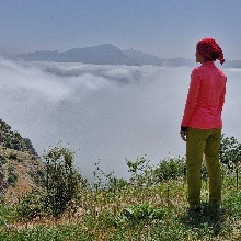 ندا کایدانی