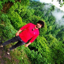 وحید پهلوانی