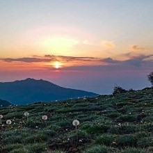 علیرضا کوهکن