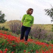 آناهیتا شبانی مقدم