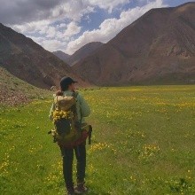 آیدا کوثری