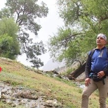 بهنام امیری