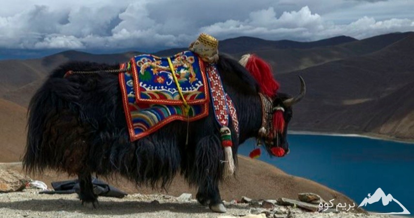 بیس کمپ اورست کجاست؟(ارتفاع بیس کمپ اورست و...+ عکس)