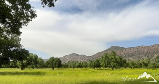 دشت ارژن شیراز کجاست (جاذبه های دیدنی و عکس)1404