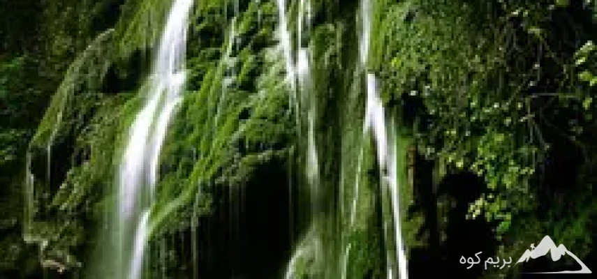 پیمایش جنگل ابر- بازدید از آبشار آلوچال و آبشار مجن- باز دید از بسطام