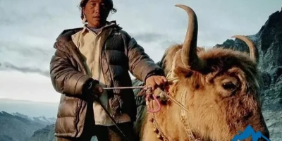 شرپا کیست؟ از ریشه‌های بومی تا قهرمانان شکست‌ناپذیر اورست