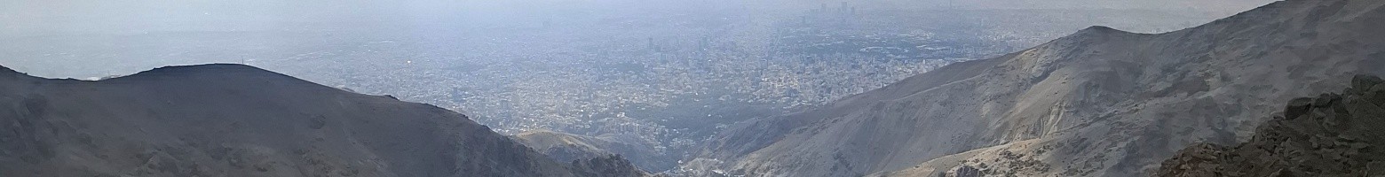 سعید تیموری