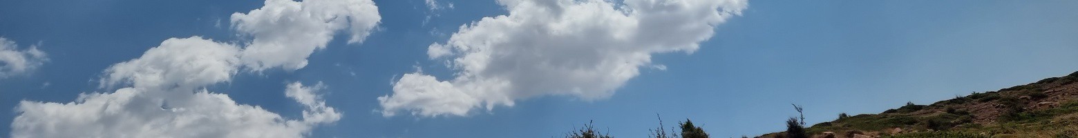نوید بنی احمدی