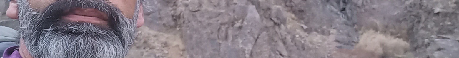 صفر میرالی