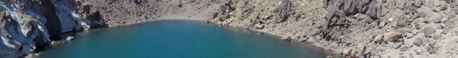 لیلا دولتی