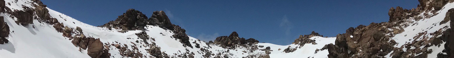 پریسا گلاب