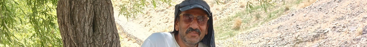 سینا یزدانی