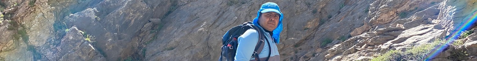Hamid Shabani