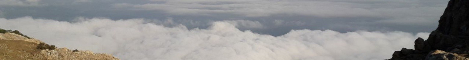 نوید بنی احمدی