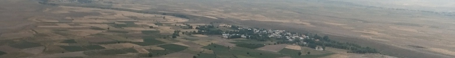 علی اسدالهی