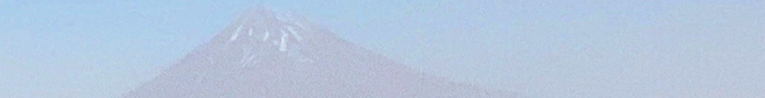 فرشاد اسدی