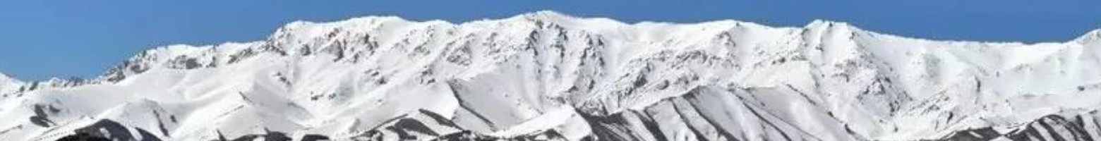 هومن هشیار دشتی