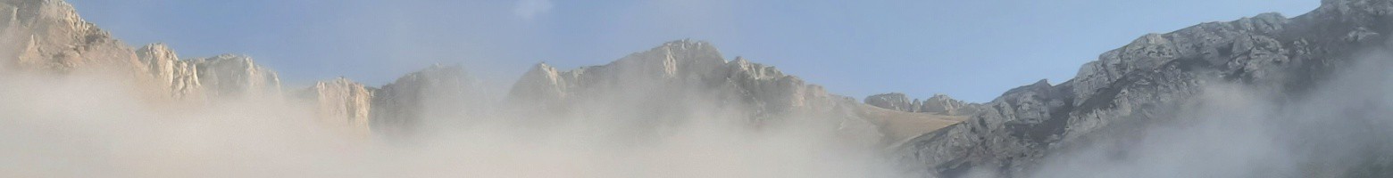 امید میربابایی