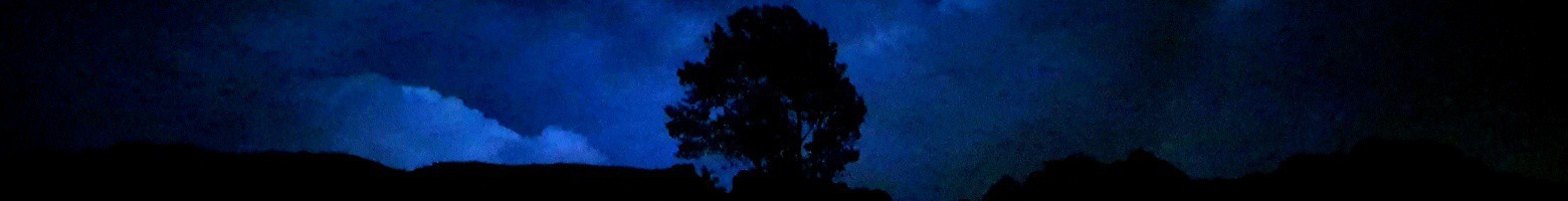 علی خلج هدایتی