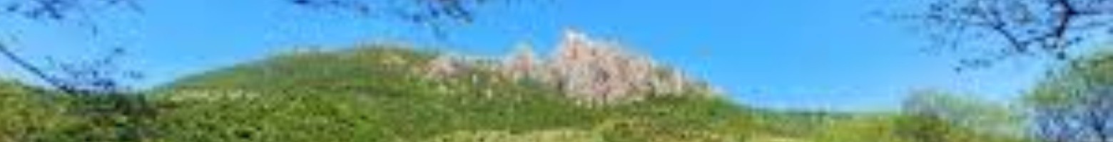 سعداله بیک زاده