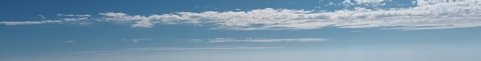 ابوطالب شیخعلی