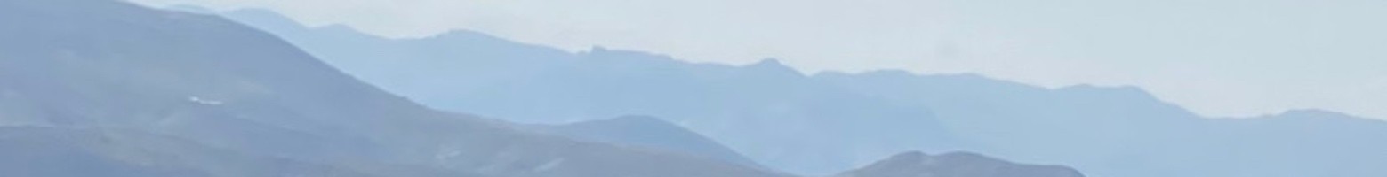 ریحانه کلاته سیفری