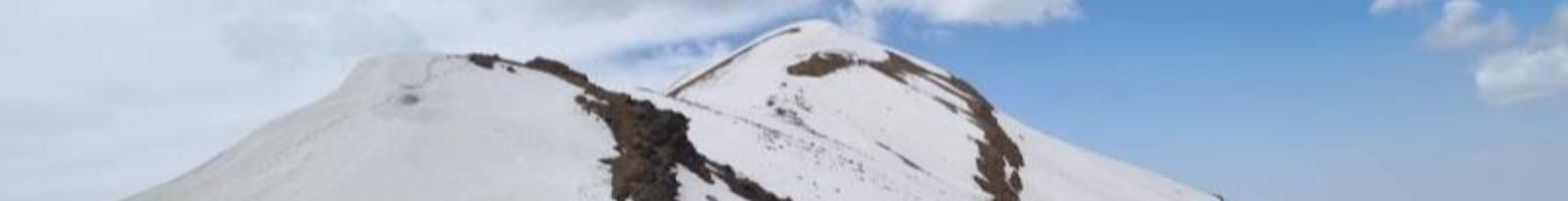 آرش زکیان