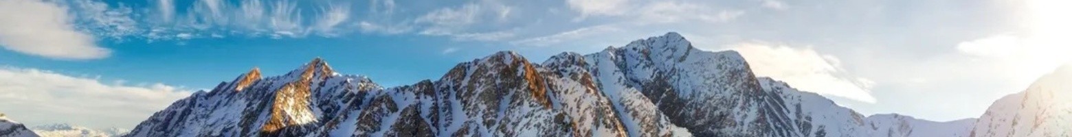 سیاوش کفراشی
