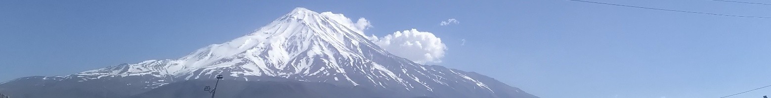 علی صالحی