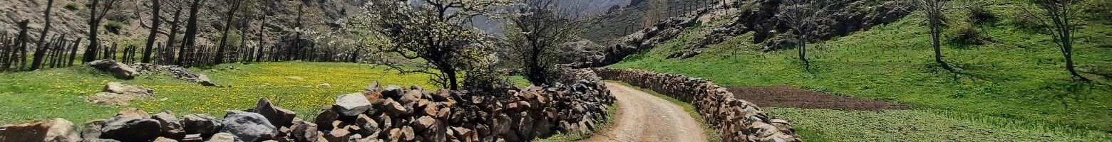 مرجان ملاحسینی