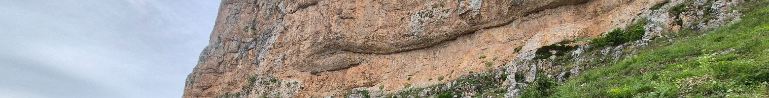 عاصم ابراهیم نژاد
