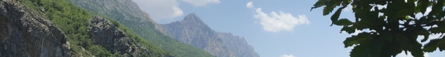 نیما جباری