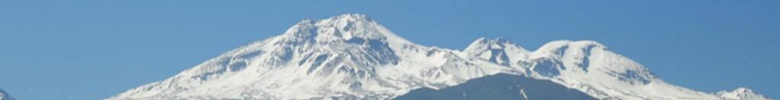 فرشید فرشادفر