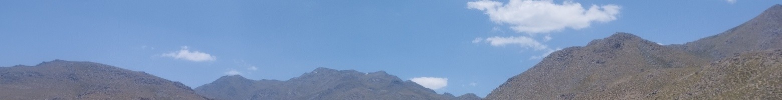 رضا مارزی