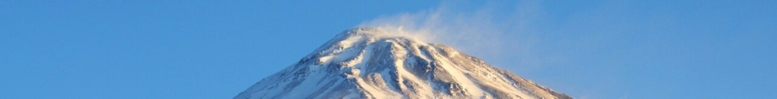 حیدر یاسری