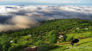 برنامه جنگلنوردي ويژه تعطيلات عيد فطر