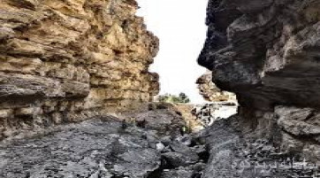 دره زنبوری