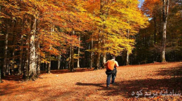 کمپینگ و پیاده روی در جنگل های هیرکانی